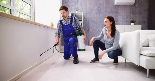 Best Pest Exclusion Services  in Sebastian, TX